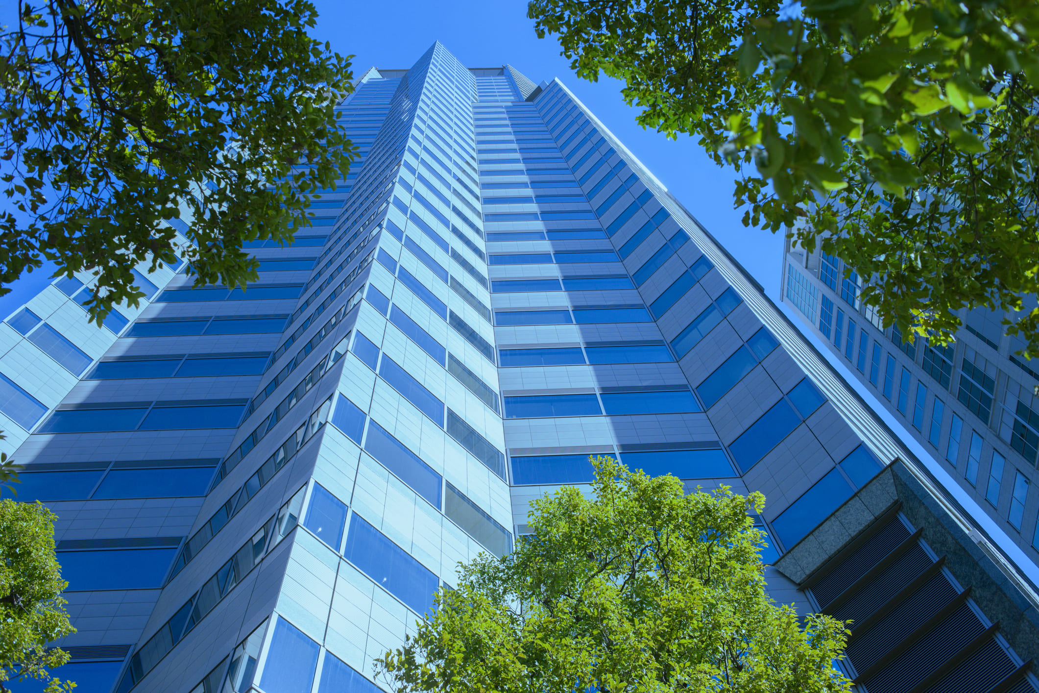 <p>Navigating Common Concerns for Institutional Buyers and Lenders</p>